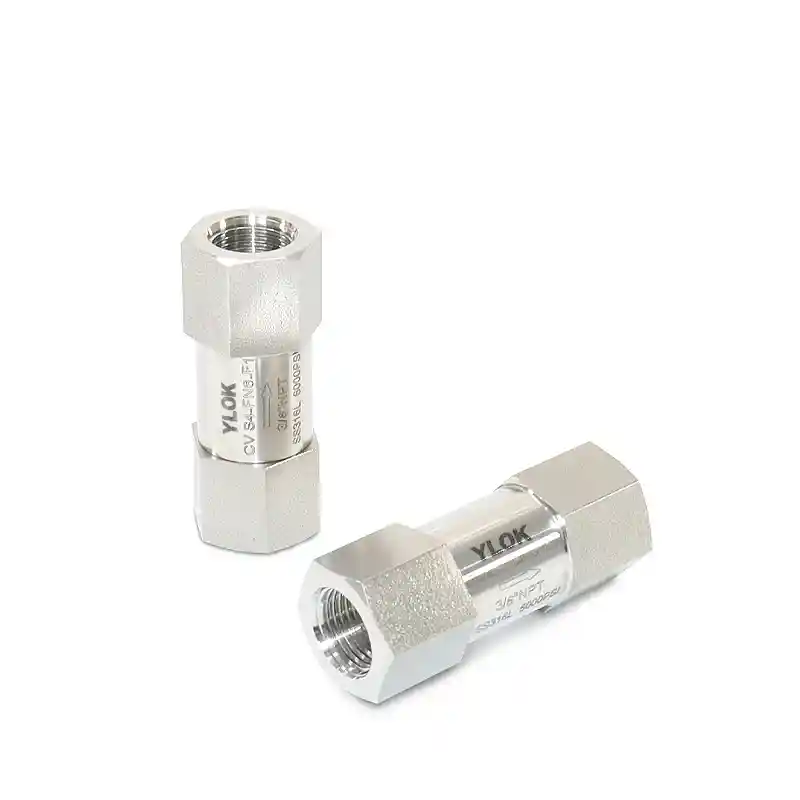 Internal Thread High-Pressure Check Valves